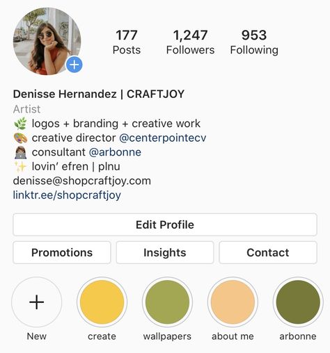 Insta Artist Bio, Cute Highlights, Adobe Illustrator Graphic Design, Insta Bio, Insta Profile, Instagram Graphic, Artist Logo, Artist Business, Instagram Funny Videos