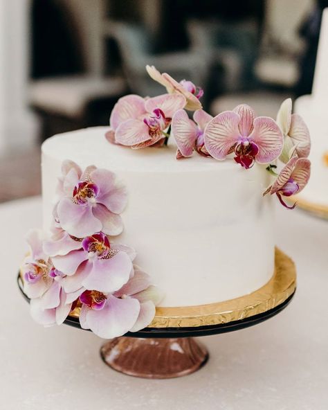 Orchid Wedding Theme, Simple White Wedding Cake, Orchid Centerpieces Wedding, Orchid Wedding Invitations, Orchid Wedding Cake, Simple White Wedding, One Tier Cake, Orchid Cake, Orchid Bouquet Wedding