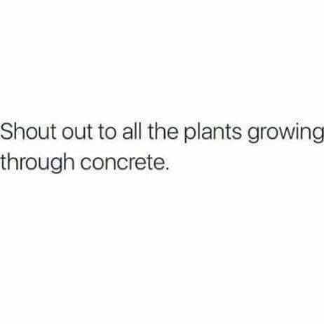 I Was Strong This Year Next Year, Plants Growing, Life Quotes Love, Badass Quotes, The Text, What’s Going On, Instagram Quotes, Real Quotes, Fact Quotes