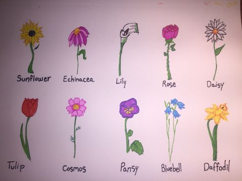 Simple Drawings Of Flowers, Drawings Of Flowers, Simple Drawings, Easy To Draw, Colour Painting, Self Worth, Lily Rose, Water Colour, A Rose