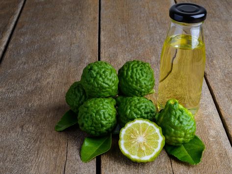 Bergamot is a bitter citrus fruit native to the Calabria region of Italy. It is what gives Earl Grey tea its distinctive taste. Can it help cholesterol? Essential Oils For Hair Growth, Oils For Hair Growth, Oils For Hair, Are Essential Oils Safe, Essential Oils Collection, Complementary Medicine, Essential Oil Plants, Essential Oils Cleaning, Citrus Essential Oil