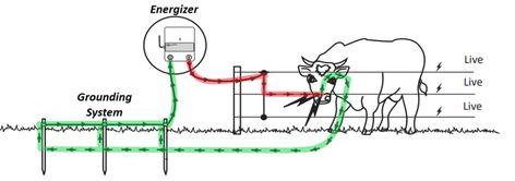 Electric Fence For Cattle, Electric Fence Energizer, Portable Fence, Electric Fencing, Grounding Rod, Gate Kit, Horse Barn Plans, Horse Fencing, Barn Plans