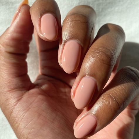 Oval Acrylic Nails, Terracotta Pink, Acrylic Nails Nude, Sheer Nails, French Manicures, Cirque Colors, Stunning Nails, Pink Sheer, Almond Acrylic Nails