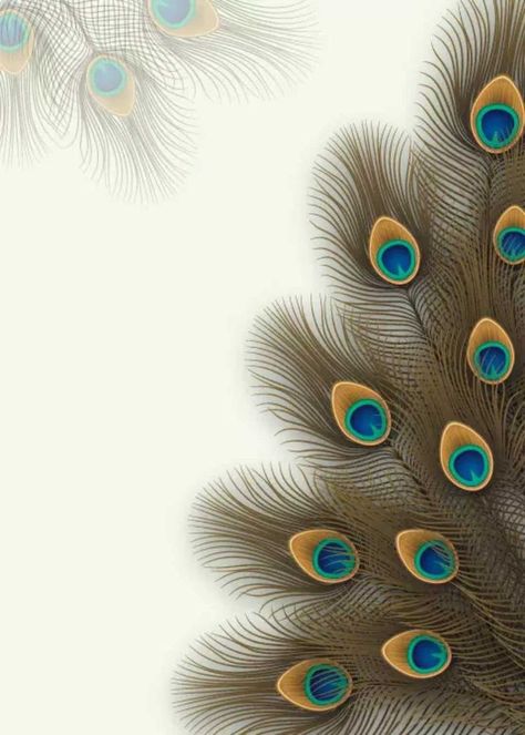 Kanha Background, Janmashtami Background Hd, Morpankh Wallpaper, Krishna Janmashtami Background, Peacock Feather Art, Black Abstract Background, Feather Background, Feather Wallpaper, Peacock Wall Art