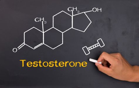 Boost Your Growth Hormone with Intermittent Fasting An abundant supply of testosterone is the difference between being a proud guy or a miserable boy. It’s the primary male hormone responsible for a multitude of body functions. From strengthening bones to building muscle mass to driving your libido, testosterone is key to a healthy lifestyle. Natural … Increase Testosterone Naturally, Ways To Increase Testosterone, Testosterone Hormone, Testosterone Replacement Therapy, Testosterone Therapy, Increase Testosterone Levels, Low Libido, Build Muscle Mass, Increase Testosterone