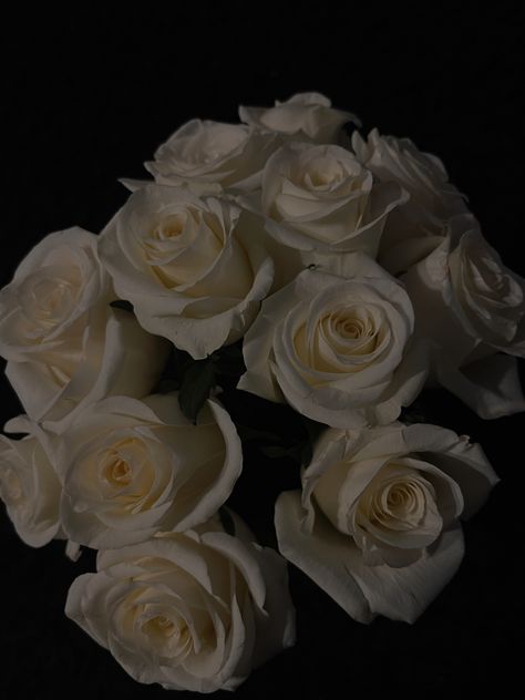 White Roses Aesthetic Dark, White Roses Aesthetic, Rose In Hand, Roses Aesthetic, Rose Aesthetic, Beautiful Bouquets, Rosé Aesthetic, Amanda Rose, Favorite Flower