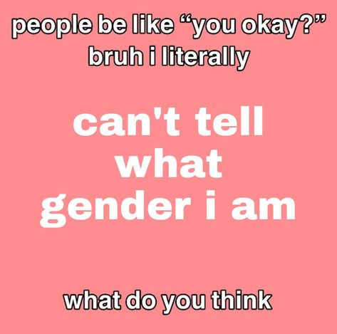 Gender Confusion Humor, Gender Humor, Gender Disphorphia, What Is My Gender, He They, Gender Dysformia, Gender Identity Crisis, Genderqueer Aesthetic, Gender Crisis