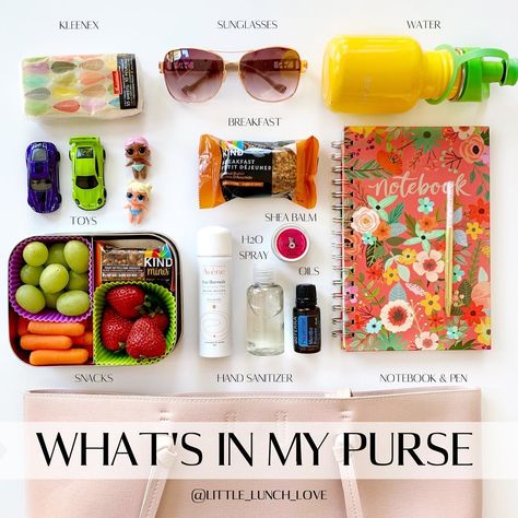 Kids Lunch & Snack Ideas on Instagram: “Are any of these items in your purse? 👜 _ These are the items I have in mine and each one helps to keep me organized 🤓throughout my day!…” Lunch Snack Ideas, What's In My Purse, Lunch Snacks, Kids Lunch, Snack Ideas, My Day, Hand Sanitizer, The Balm, Purse