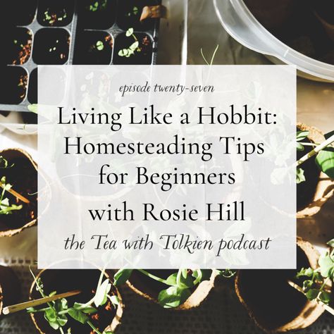 How To Live Like A Hobbit, Hobbit Core Aesthetic, Hobbit Lifestyle, Hobbit Aesthetic Home, Hobbit Core, Hobbit Aesthetic, Hobbit Life, Hobbit Garden, Dreamy Garden