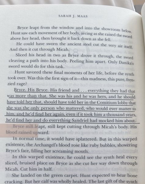 Reading Order Sjm, Crescent City Annotation, Sarah J Mass Reading Order, Lehabah Crescent City Quotes, Crescent City House Of Earth And Blood, Crescent City Map Sarah J Maas, Crescent City Sarah J Maas, Blood Quotes, Bloods Quote