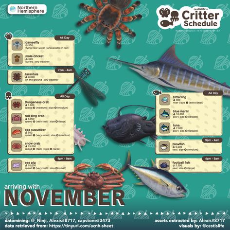 November Critters | cestislife's visual guides Animal Crossing Fish, Acnh Tips, Acnh Idea, Sea Pig, Mole Cricket, Nintendo Switch Animal Crossing, Animal Crossing Guide, Acnh Designs, Animal Crossing Wild World