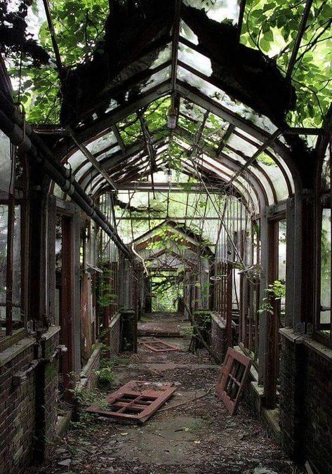 Just off Route 9 in Yonkers, a half-hour drive north of New York City, the Boyce Thompson Institute is an abandoned agricultural institute where the plants have gone wild. The institute was founded by mining magnate Boyce Thompson and opened its doors in 1924 with the goal of studying plants - abandoned in 1978. Abandoned Greenhouse, Abandoned Mansion For Sale, Istoria Artei, Abandoned Mansion, Abandoned Mansions, Haunted Places, Abandoned Buildings, Old Buildings, Abandoned Houses