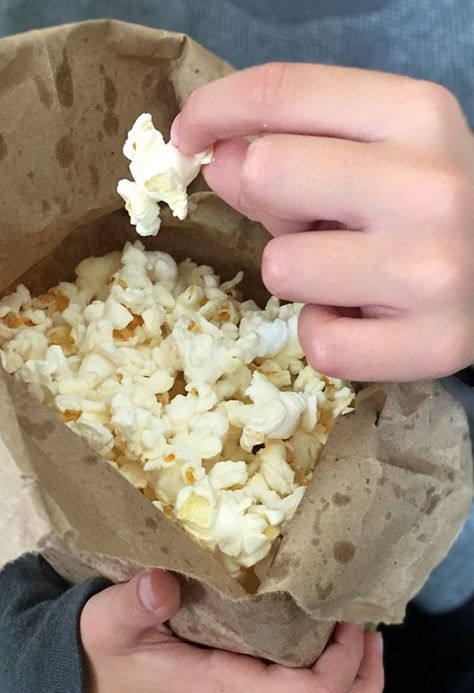 Popcorn In A Paper Bag, Homemade Popcorn Seasoning Recipes, Homemade Popcorn Seasoning, Homemade Popcorn Recipes, Popcorn Seasoning Recipes, Cooking Popcorn, Homemade Microwave Popcorn, Homemade Popcorn, Popcorn Seasoning