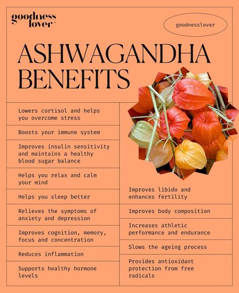 Ashwagandha Plant, Ashwagandha Benefits, Healthy Hormones, Healthy Supplements, Natural Healing Remedies, Herbal Healing, Home Health Remedies, Herbs For Health, Health Knowledge