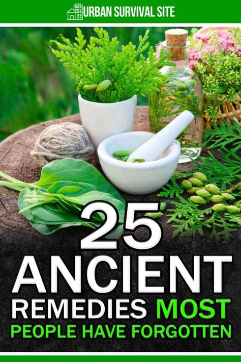 Natural Nausea Remedies, Medicine Plants, Medicinal Herbs Remedies, Home Remedies For Bronchitis, Ancient Remedies, Remedies For Nausea, Preserving Herbs, Homesteading Ideas, Primitive Survival