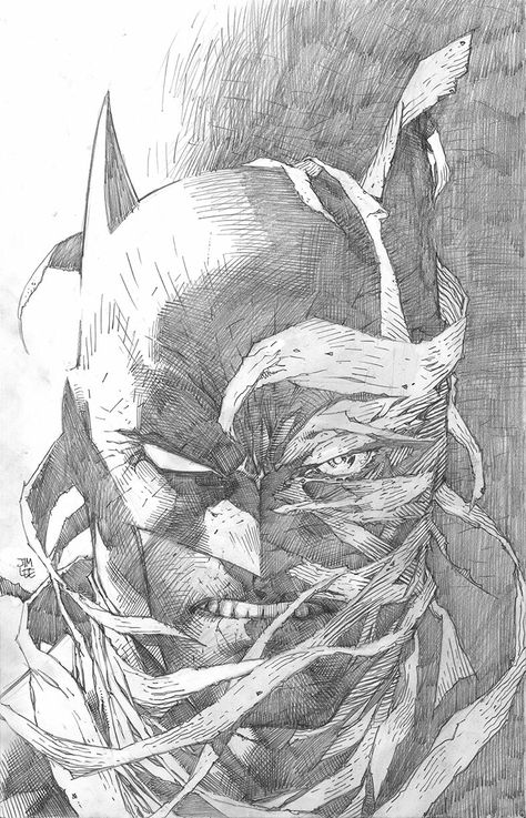 Batman / Hush - Jim Lee Pencils Jim Lee Pencils, Jim Lee Batman, Jim Lee Art, Comics Style, Comic Artwork, Comic Art Sketch, Facial Structure, Batman Hush, Batman Artwork