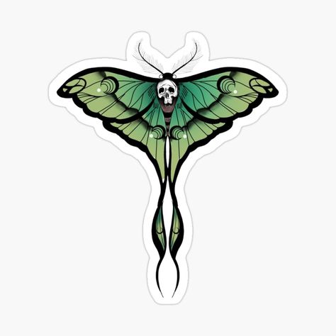 Chinese Moon Moth Tattoo, Moth With Skull, Moon Moth Tattoo, Chinese Moon Moth, Colourful Tattoo, Skull Moth, Moon Moth, Moth Tattoo, Design Sticker