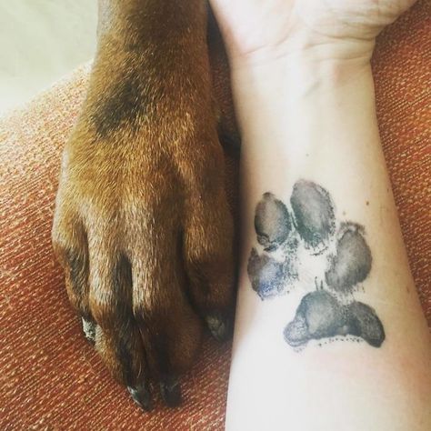 The Paws Of The Dogs Are Being Tattooed On Their Owners And The Result Is Adorable Paw Tattoos, Dog Pawprint Tattoo, Pet Memorial Tattoo, Dog Print Tattoo, Dog Memorial Tattoos, Pawprint Tattoo, Dog Paw Tattoo, Omerta Tattoo, Paw Tattoo