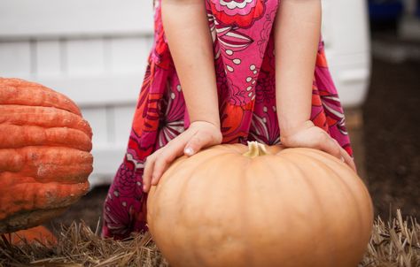 Want to try the Long Island cheese pumpkin, but you're less about sweet than you are about savory? Chef Emily's got your back—and a really great recipe for cheese pumpkin soup. Cheese Pumpkin Recipes, Curried Pumpkin, Pumpkin Mash, Cheese Pumpkin, Green Farm, Farm Stand, Pumpkin Soup, Squash Recipes, Got Your Back