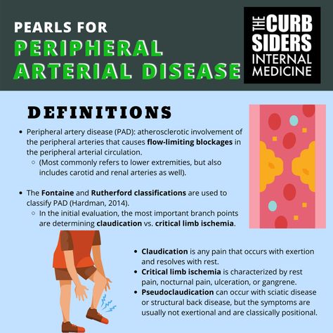 Peripheral Arterial Occlusive Disease, Peripheral Artery, Physician Assistant School, Subclavian Artery, Coronary Artery, Clogged Arteries, Medical School Studying, Nursing School Notes, Medical Anatomy