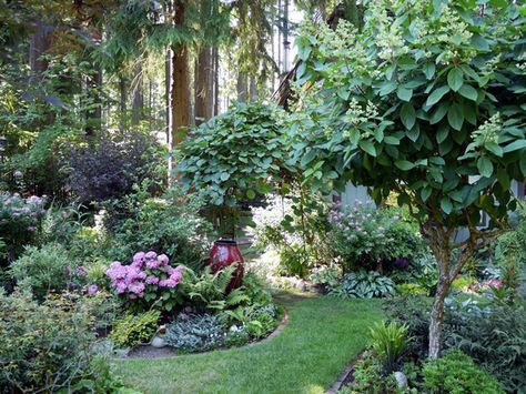 A Lively & Colorful Shade Garden in the Pacific Northwest | Fine Gardening Pnw Garden Ideas, Pnw Garden Landscapes, Pacific Northwest Landscaping, Pnw Landscaping, Pnw Backyard, Pnw Landscape, Pacific Northwest Landscape, Pnw Garden, Low Maintenance Landscaping Front Yard