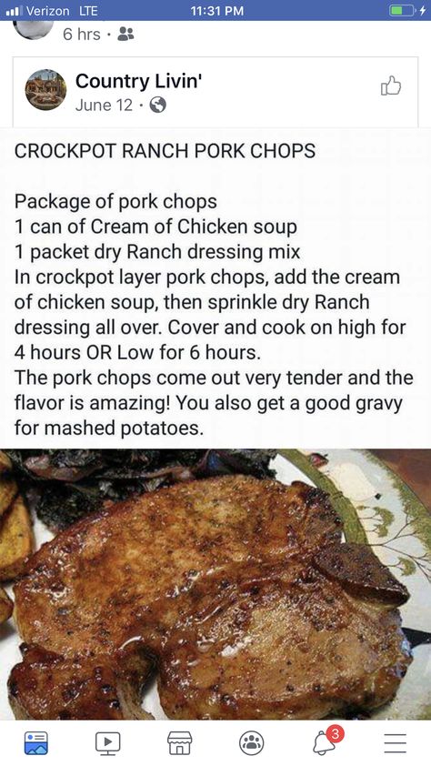 Crockpot Ranch Pork Chops, Mini Crockpot, Mini Crockpot Recipes, Gravy For Mashed Potatoes, Ranch Pork Chops Crock Pot, Pork Crockpot Recipes, Pork Chop Recipes Crockpot, Ranch Pork Chops, Easy Pork Chops