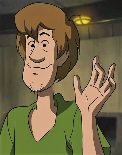 Cartoon Characters Animals, 2010 Cartoon Characters, Shaggy Rogers Icon, Hot Characters Cartoon, Shaggy Scooby Doo Icons, Litteraly Me Character, Craziest Hear Me Out Characters, Here Me Out Characters, Shaggy From Scooby Doo