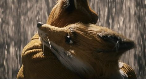 Fantastic Fox, Wes Anderson Films, I Love You Too, Love You Too, Fantastic Mr Fox, Mr Fox, Love Film, Wes Anderson, Animation Screencaps