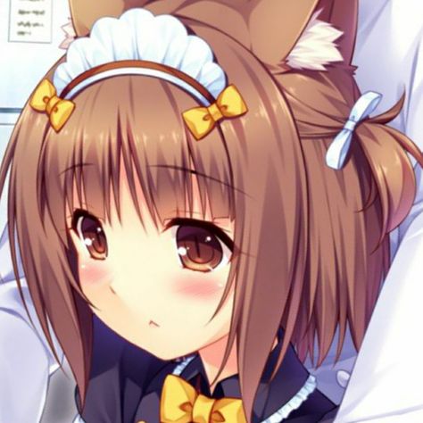 Azuki Nekopara, Nekopara Widget, Chocola Nekopara Pfp, Chocola Nekopara Icons, Coconut Nekopara Icons, Nekopara Chocola And Vanilla, Hawaii Art, Anime Style, Profile Picture