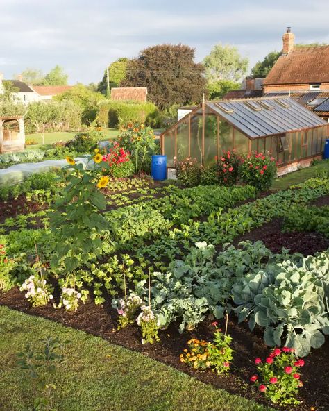 Why Everyone Should Try ‘No Dig’ Gardening | Saveur Field Garden Ideas, Kitchen Garden Inspiration, Vegetable Garden In Ground, Backyard Food Garden, Food Garden Design, Portage Garden, Garden In Ground, Dig Gardens, Veg Garden