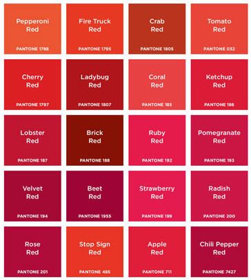 Red Shades   ♥it by Taip.Net Creative Concepts + Solutions Pantone Red, Pantone Color Chart, Different Shades Of Red, Red Shades, Colour Shades, Red Pomegranate, Color Pallete, Pantone Colors, Home Colors