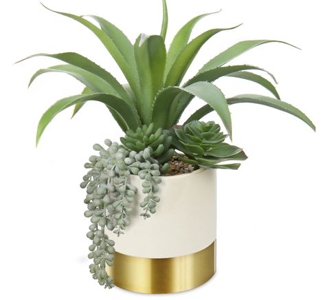 very realistic fake plants for your endtable. Desk Modern, Fake Succulents, Ceramic Succulent, Succulents Plants, Succulents Decor, Flowers Home, Mini Succulents, Artificial Succulents, Gold Ceramic