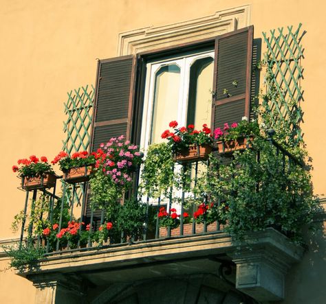 spanish balcony | photo via photo via French Balcony Ideas, French Balcony, Apartment Balcony Garden, Balcony Design Ideas, Porch Flowers, Backyard Garden Layout, Small Balcony Garden, House Balcony Design, Balcony Flowers