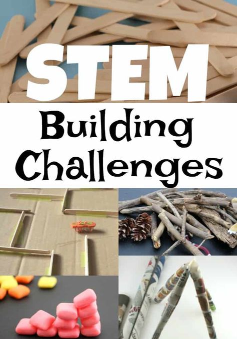 STEM Building Challenges are perfect for a classroom setting. Not only do they encourage working together but they are fun and rewarding! Middle School Stem, Bird Activities, Stem Activities Middle School, Rosie Revere Engineer, Bird Nest Craft, Stem Building, Summer Stem, Stem Engineering, Stem Elementary