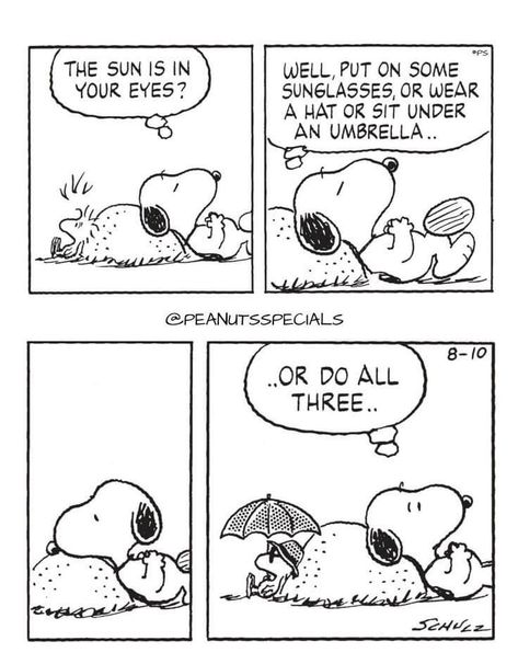 Snoopy Comics Funny, Snoopy Strip, Sun Eyes, Sunglasses Cartoon, Peanuts Snoopy Comics, Yoda Images, Under Umbrella, Snoopy Comics, Snoopy Cartoon