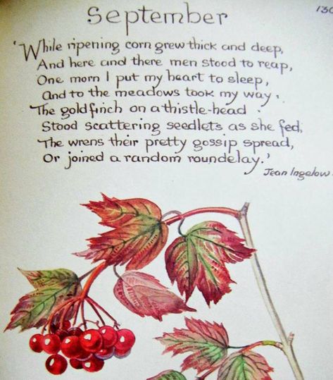 The Queen's English September 10 at 8:00 AM · September from 'The Country Diary of an Edwardian Lady', Illustrated by Edith Holden. Poetry by English poet and novelist Jean Ingelow (1820-1897). Diary Of An Edwardian Lady, Country Diary Of An Edwardian Lady, Edith Holden, Edwardian Lady, Im A Dreamer, Smash Journal, Kitchen Magic, Head Stand, Field Notes