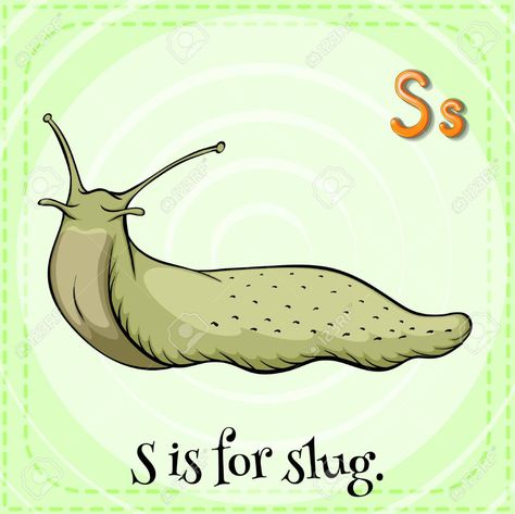 s is for slugs - Google Search Cute Slug Tattoo, Cute Slug Drawing, Slugs Drawing, Zoology Project, Slug Illustration, Slug Drawing, Slug Tattoo, Slug Art, Banana Slugs