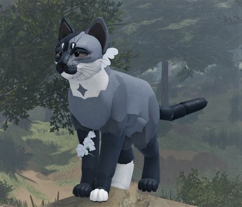 Wcue Morph Ideas Shorthair No Gp, Wcue Morph Ideas Fade, Warrior Cat Oc Ideas Wcue, Wcue Morph Ideas Shorthair, Warrior Cat Morph Ideas Wcue, Wcue Morph Ideas, Wcue Morph Inspiration, Cat Skin, Wcue Morph