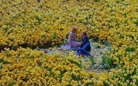 meghillbilly: “Big Fish (2003) directed by Tim Burton ” Big Fish Movie, Tim Burton Films, I Love Cinema, Big Fish, Film Serie, Film Aesthetic, Film Stills, Tim Burton, Movie Scenes