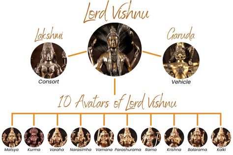 Vishnu Hindu God, Preserver, 10 Avatars Incarnations Hari Narayan, 10 Avatars, Vishnu Incarnation, Vishnu Avataras, Tulsi Plant, Nature Photography Flowers, Destroyer Of Worlds, The Hindu, Goddess Lakshmi