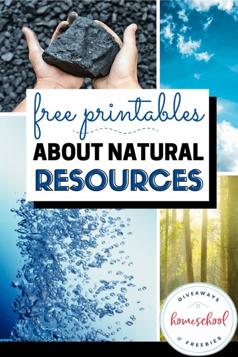 These free printables about natural resources will make a great science unit to teach your children about the valuable resources made on earth. Natural Resources Science Project, Natural Resource, Natural Resources Kindergarten, Natural Resources Project, Natural Resources Poster, Natural Resources Pictures, Natural Resources Worksheet, Natural Resources Activities, Natural Resources Lesson