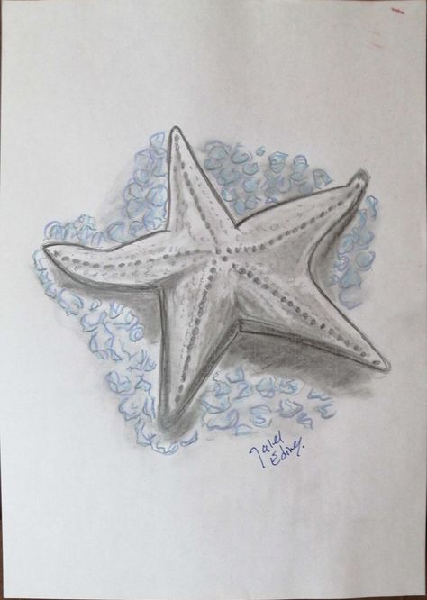 "Starfish" Pencil drawing by JalelEdine Art. #art #dailyart #artwork #jaleledineart #pencildrawing #starfish #seacreatures #summertime #summervibes #enjoysummer Starfish Drawing Easy, Starfish Sketch, Starfish Drawing, Assignment Ideas, Speed Draw, Summer Drawings, Easy Doodle, Doodles Drawings, Anatomy Sketches