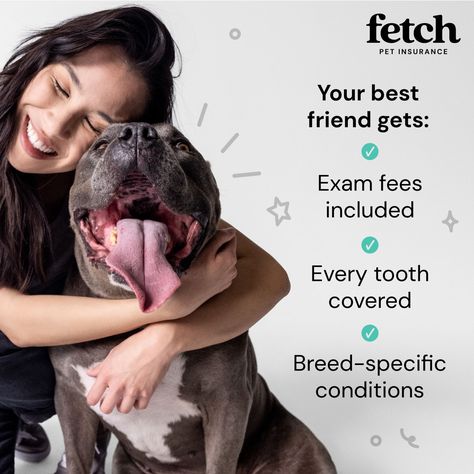 Fetch Pet Insurance Teeth Covers, Pet Insurance, Insurance, Best Friends, Conditioner, Pet