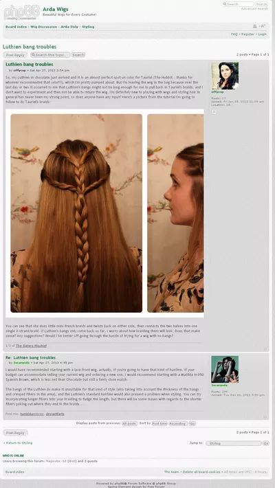 Tauriel hair. Tauriel Hair, Tauriel Cosplay, Elven Clothing, Elf Hair, Tauriel, Elf Costume, Cosplay Hair, Different Hairstyles, Hair Tips