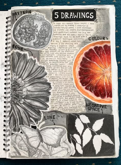 a-level sketchbook page inspiration #gcseart #alevelart #sketchbook #sketchbookideas #art Brainstorm Art Sketchbook, Gcse Observational Drawing Page, A Level Art Sketchbook Natural Forms, Art Sketchbook Background Ideas, Gcse Art Recording Page, Background Ideas Art Sketchbook, Gcse Sketchbook Background Ideas, Food Art Gcse Sketchbook Pages, A Level Textiles Natural Forms