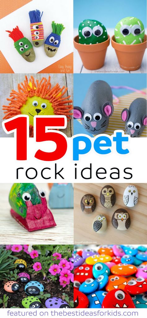 15 Fun Pet Rock Ideas perfect for the kindness project, painted rock ideas, rock hunting hide and seek, painted rocks how to, and so many great painted rock idea! via @bestideaskids 1970s Crafts Ideas, Easy Pet Rocks Ideas, Pet Rocks Ideas, Pet Rock Ideas, Pet Rocks Craft, Rock Pets, Carton Craft, Summer Countdown, Pebble Crafts