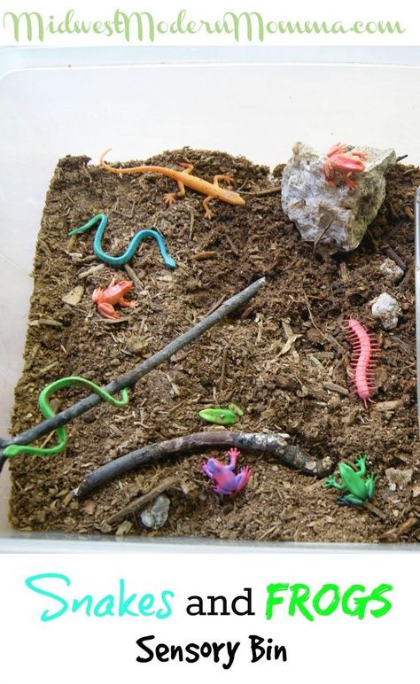 Sensory Play For Preschoolers made easy with these Snakes And Frogs Sensory Bin ideas! Use some of these great ideas to create a fun sensory experience for your kids today or repin for later! Snake Activities, Sensory Play For Preschoolers, Sensory Center, Play For Preschoolers, Camping Week, Sensory Bin Ideas, Nature Camp, Homework Ideas, Insects Preschool