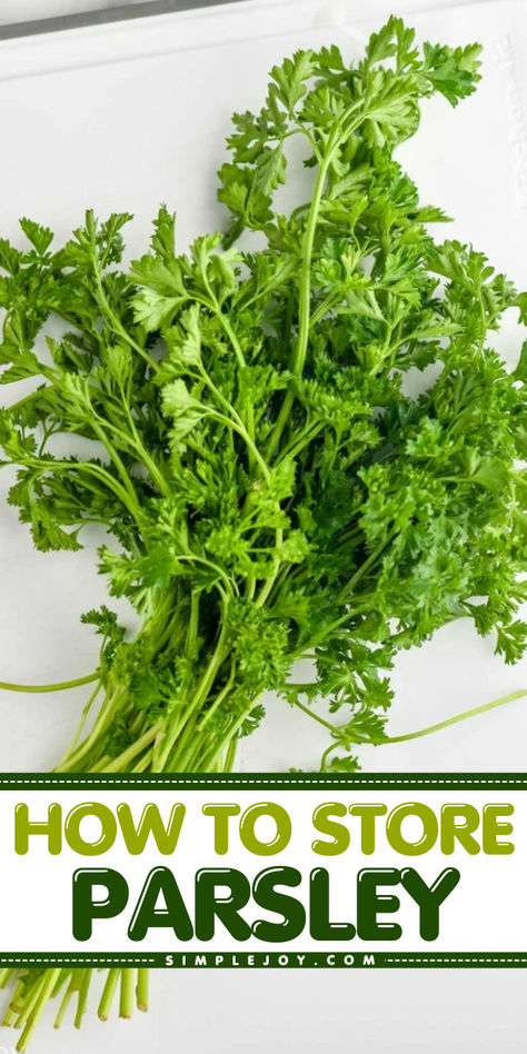 These simple tips for how to store parsley will keep it fresh longer. With the proper storage methods, preserve the flavor of your fresh parsley and have it ready to go for recipes. How To Store Parsley, Homemade Condiments, How To Store, Pantry Staples, Family Favorite Meals, Simple Recipes, Seasoning Mixes, Tasty Recipes, Few Ingredients