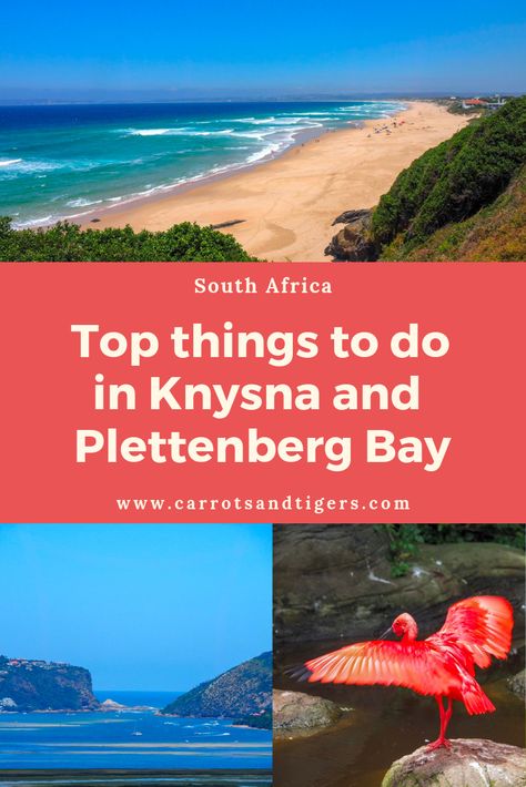 With lots of possibilities where to stop and stay along the amazing Garden Route, Knysna and Plettenberg Bay are two of my favourite spots. Both offer many attractions and it is worth to stay overnight in either in order to better explore the two towns and their surroundings.  #Knysna #PlettenbergBay #GardenRoute #SouthAfrica #roadtrip Plettenberg Bay South Africa, South Africa Itinerary, Garden Route South Africa, South Africa Vacation, African Cities, South Africa Photography, Africa Itinerary, Motorcycle Trip, Africa Vacation