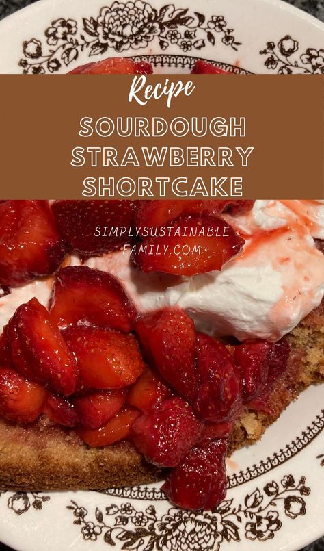 Sourdough White Cake, Sourdough Strawberry Shortcake, Sourdough Shortcake, Sourdough Strawberry, Sourdough Discard Recipe, Amish Bread Recipes, Shortcake Recipes, Homestead Cooking, Starter Ideas